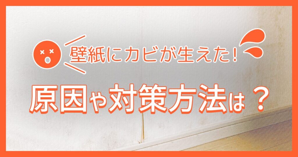 壁紙にカビが生えた？原因や対策方法は？